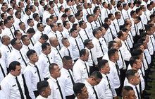 Masa Depan PPPK: Mungkinkah Beralih Menjadi PNS pada 2026?