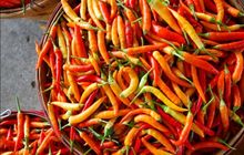 Harga Pangan Mulai Terkendali: Beras Medium Turun ke Rp13.678/kg, Cabai Rawit Rp46.372/kg