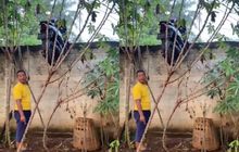 Viral Motor Tetiba Nyangkut di Atas Beton Rumah Warga Lampung, Diduga Imbas Aksi Curanmor