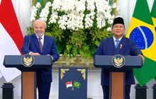 Pertemuan Hangat Prabowo dan Presiden Brasil Lula da Silva: Bahas Kerja Sama hingga Persamaan Pribadi