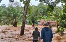 Duka di Sumut: 4 Kabupaten Diterjang Banjir-Longsor Bersamaan, Ribuan Rumah Terdampak