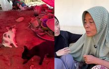 Meski Menjadi Korban, Warga Pidie Jaya Ini Tetap Semangat Bantu Posko Dapur Umum: Kami Iba Kalau Nggak Ada yang Masak