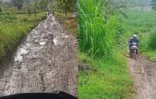 Viral Guru di Grobogan Jawa Tengah Bagikan Jalan Sehari-hari yang Dilewati Menuju Sekolah, Masih Tanah Berlumpur dan Licin
