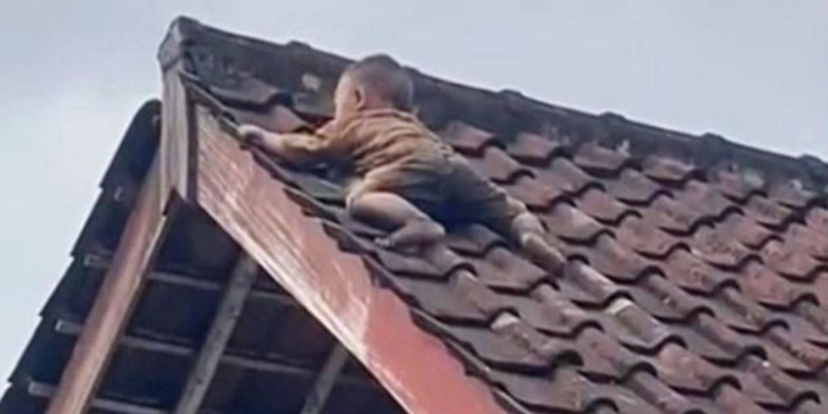 Bocah 2 Tahun Bikin Panik Warga Lombok usai Ditemukan Tengkurap di Atap Rumah, sang Ibu: Dia Naik Lewat Kandang Ayam