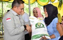 Bantuan Pangan Terancam Dihentikan: Siap-Siap RI Bisa Kisruh Beras Lagi