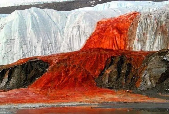 Fenomena Blood Falls Taylor Glacier, Air Terjun 'Darah' di Antartika.